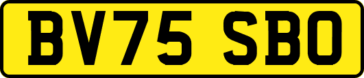 BV75SBO