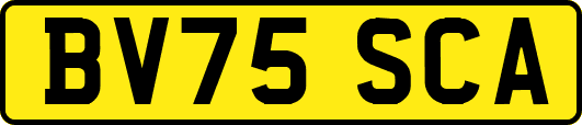 BV75SCA