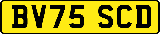 BV75SCD