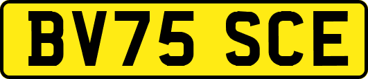 BV75SCE