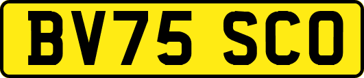 BV75SCO