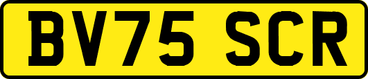 BV75SCR