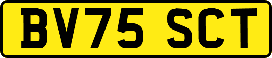 BV75SCT
