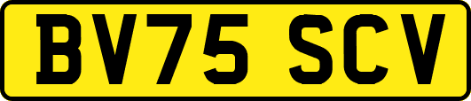 BV75SCV