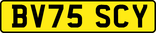 BV75SCY