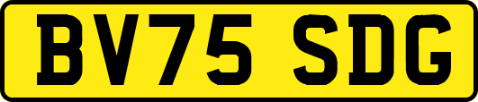 BV75SDG