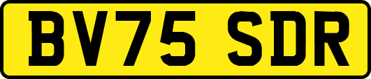 BV75SDR