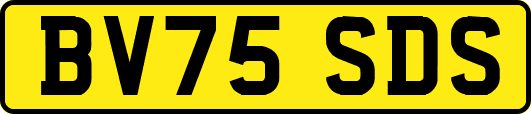 BV75SDS