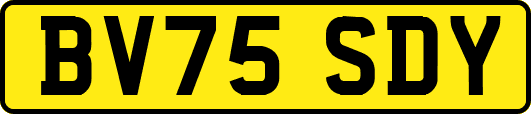 BV75SDY