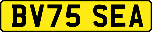 BV75SEA