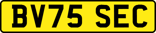 BV75SEC