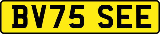BV75SEE