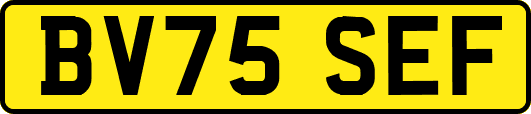 BV75SEF
