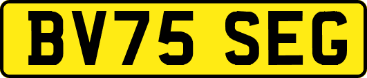 BV75SEG