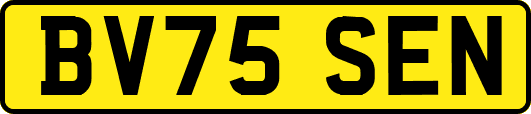 BV75SEN
