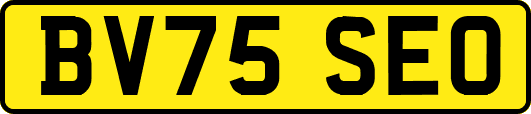 BV75SEO