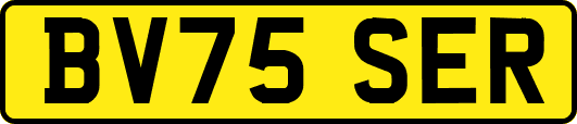 BV75SER