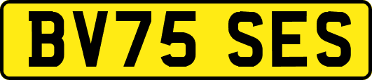 BV75SES