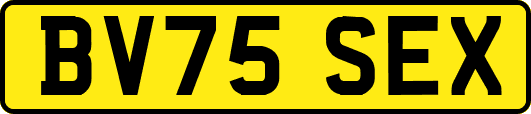 BV75SEX