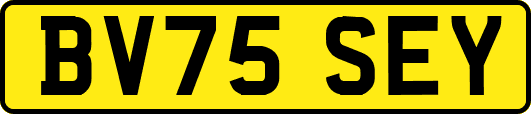 BV75SEY