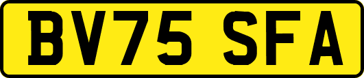 BV75SFA
