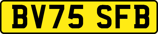 BV75SFB