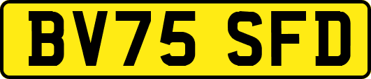 BV75SFD
