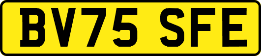 BV75SFE