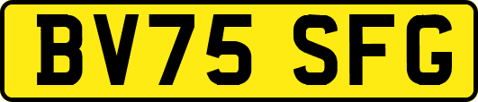 BV75SFG