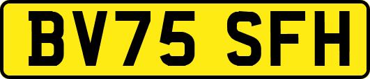 BV75SFH
