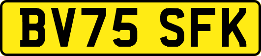 BV75SFK