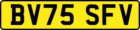 BV75SFV