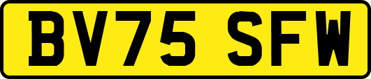 BV75SFW