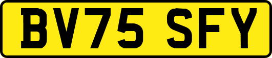 BV75SFY