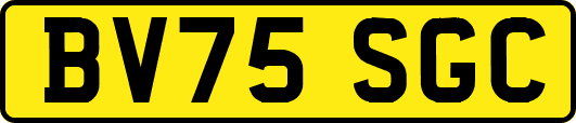 BV75SGC