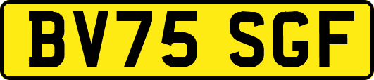 BV75SGF