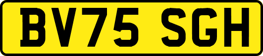 BV75SGH