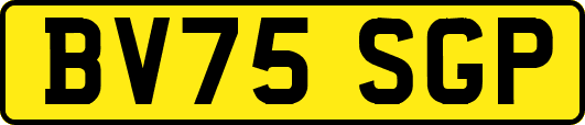 BV75SGP