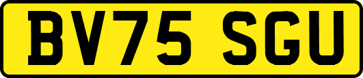 BV75SGU
