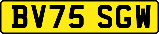 BV75SGW