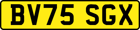 BV75SGX