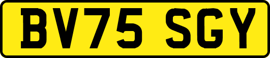 BV75SGY