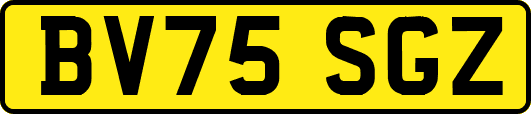 BV75SGZ
