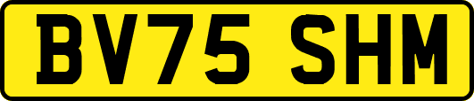 BV75SHM