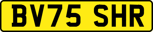 BV75SHR