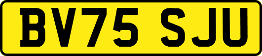 BV75SJU