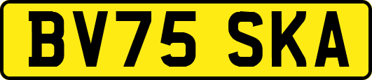 BV75SKA