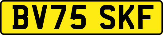 BV75SKF