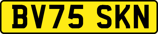 BV75SKN