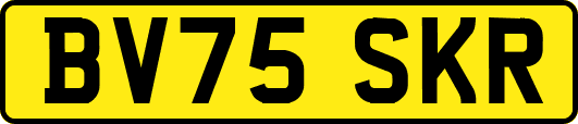 BV75SKR